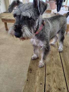 東武動物公園に投稿された画像（2025/2/4）