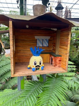 ナゴパイナップルパークに投稿された画像（2025/2/4）