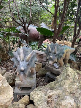 ナゴパイナップルパークに投稿された画像（2025/2/4）