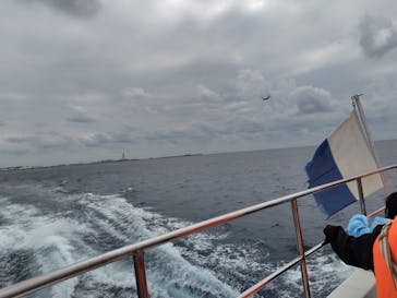 セルリアンブルーに投稿された画像（2025/2/4）