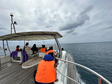 セルリアンブルーに投稿された画像（2025/2/4）