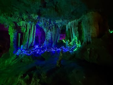 石垣島鍾乳洞に投稿された画像（2025/2/4）