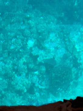 川平マリンサービスに投稿された画像（2025/2/4）