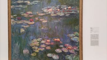 モネ 睡蓮のとき（国立西洋美術館）に投稿された画像（2025/2/4）