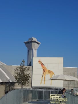 霞ケ浦 どうぶつとみんなのいえに投稿された画像（2025/2/4）