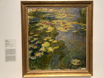 モネ 睡蓮のとき（国立西洋美術館）に投稿された画像（2025/2/4）