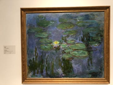 モネ 睡蓮のとき（国立西洋美術館）に投稿された画像（2025/2/4）