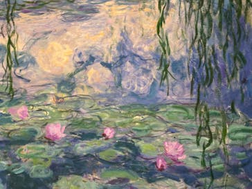 モネ 睡蓮のとき（国立西洋美術館）に投稿された画像（2025/2/4）