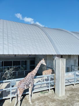 霞ケ浦 どうぶつとみんなのいえに投稿された画像（2025/2/4）