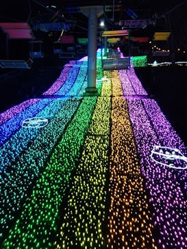 さがみ湖MORI MORIに投稿された画像（2025/2/4）