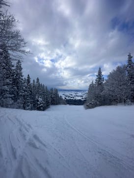 大仙市　大台スキー場に投稿された画像（2025/2/4）