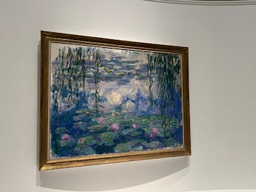 モネ 睡蓮のとき（国立西洋美術館）に投稿された画像（2025/2/4）