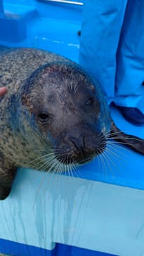 ゼロ距離水族館 伊勢シーパラダイスに投稿された画像（2025/2/4）