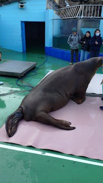 ゼロ距離水族館 伊勢シーパラダイスに投稿された画像（2025/2/4）