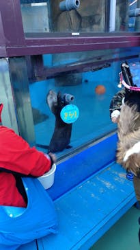 ゼロ距離水族館 伊勢シーパラダイスに投稿された画像（2025/2/4）