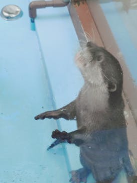 ゼロ距離水族館 伊勢シーパラダイスに投稿された画像（2025/2/4）