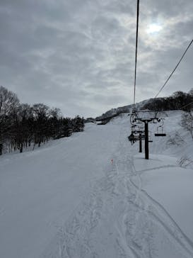 キューピットバレイに投稿された画像（2025/2/4）