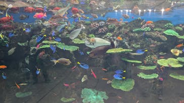 鴨川シーワールドに投稿された画像（2025/2/4）