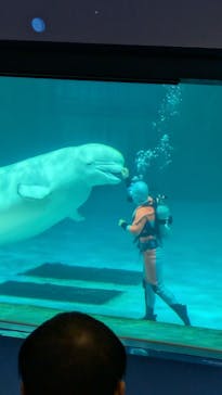 鴨川シーワールドに投稿された画像（2025/2/4）