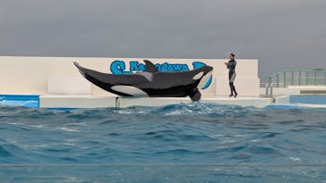 鴨川シーワールドに投稿された画像（2025/2/4）