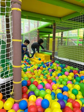 ザキッズ 三重ブライトガーデン明和店に投稿された画像（2025/2/4）