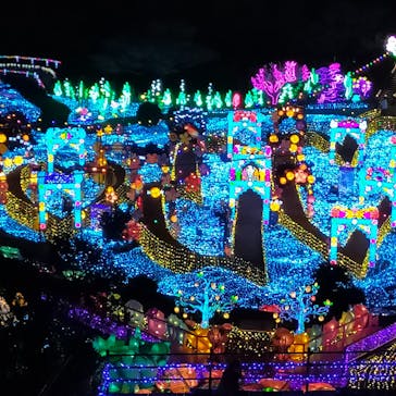 伊豆高原グランイルミに投稿された画像（2025/2/4）