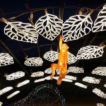 伊豆高原グランイルミに投稿された画像（2025/2/4）