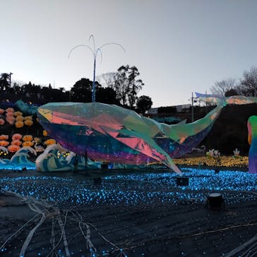 伊豆高原グランイルミに投稿された画像（2025/2/4）