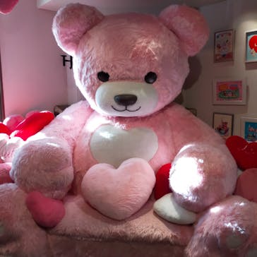 伊豆テディベア・ミュージアムに投稿された画像（2025/2/4）