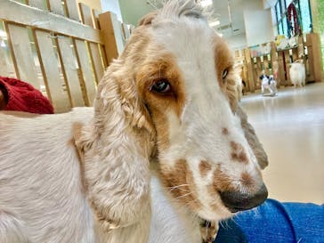 Moff animal world BIGHOPガーデンモール印西店に投稿された画像（2025/2/4）