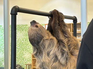 Moff animal world BIGHOPガーデンモール印西店に投稿された画像（2025/2/4）