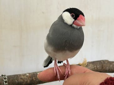 Moff animal world BIGHOPガーデンモール印西店に投稿された画像（2025/2/4）