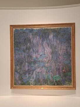 モネ 睡蓮のとき（国立西洋美術館）に投稿された画像（2025/2/4）