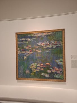 モネ 睡蓮のとき（国立西洋美術館）に投稿された画像（2025/2/4）