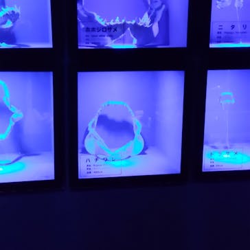 横浜・八景島シーパラダイスに投稿された画像（2025/2/4）