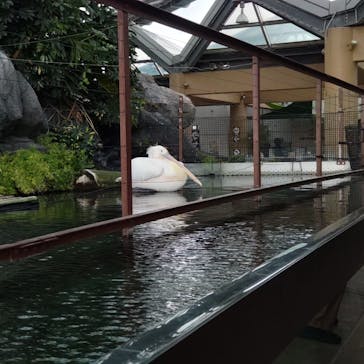 横浜・八景島シーパラダイスに投稿された画像（2025/2/4）