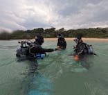 沖縄ダイビングショップシーモールに投稿された画像（2025/2/4）