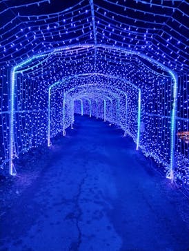 さがみ湖MORI MORIに投稿された画像（2025/2/4）