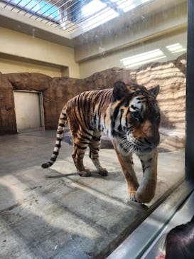 日立市かみね動物園に投稿された画像（2025/2/5）