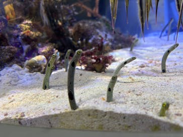 名古屋港水族館に投稿された画像（2025/2/5）