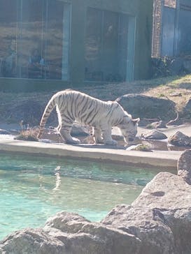 伊豆アニマルキングダムに投稿された画像（2025/2/5）