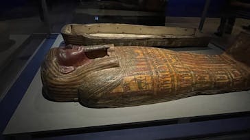 ブルックリン博物館所蔵 特別展 古代エジプトに投稿された画像（2025/2/5）