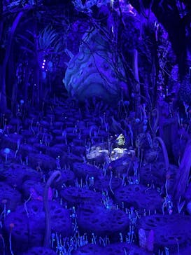 金曜ロードショーとジブリ展　三重展に投稿された画像（2025/2/5）