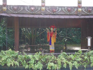 ビオスの丘に投稿された画像（2025/2/5）