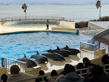 マリンワールド海の中道に投稿された画像（2025/2/5）