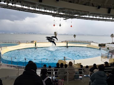 マリンワールド海の中道に投稿された画像（2025/2/5）