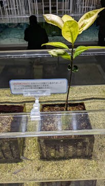 NIFREL（ニフレル）に投稿された画像（2025/2/5）