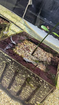 NIFREL（ニフレル）に投稿された画像（2025/2/5）