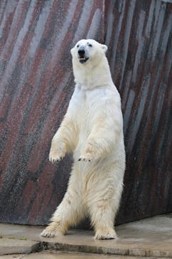 恩賜上野動物園に投稿された画像（2025/2/5）