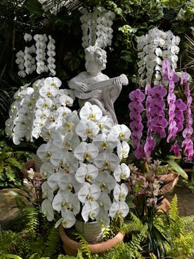 熱川バナナワニ園に投稿された画像（2025/2/5）